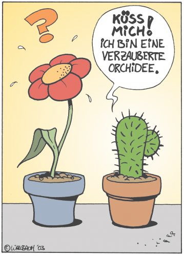 Mit freundlicher Genehmigung von Oliver Wallbaum